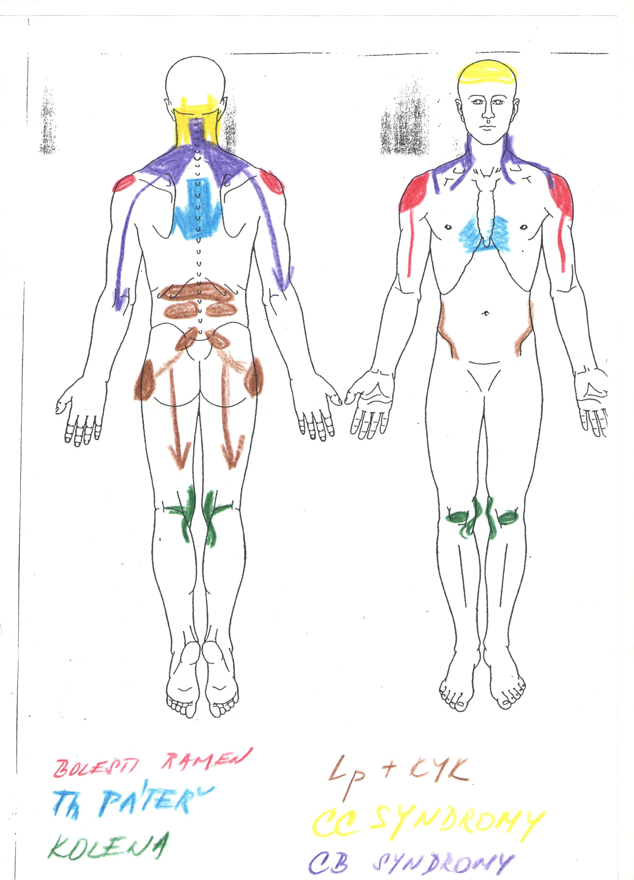 obrázek lidského těla a jeho částí